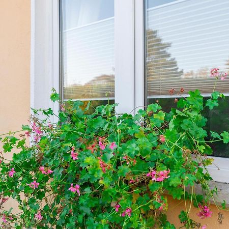 Awesome Apartment In Rostock With Kitchen Εξωτερικό φωτογραφία