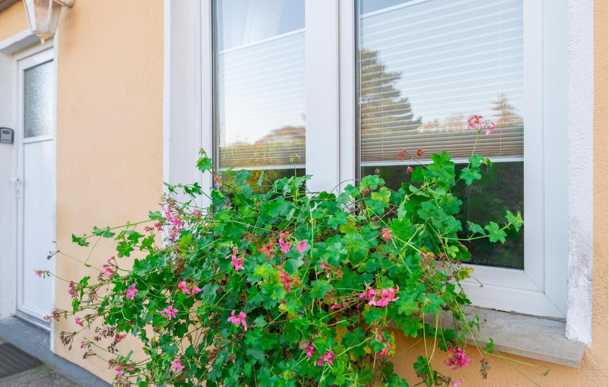 Awesome Apartment In Rostock With Kitchen Εξωτερικό φωτογραφία